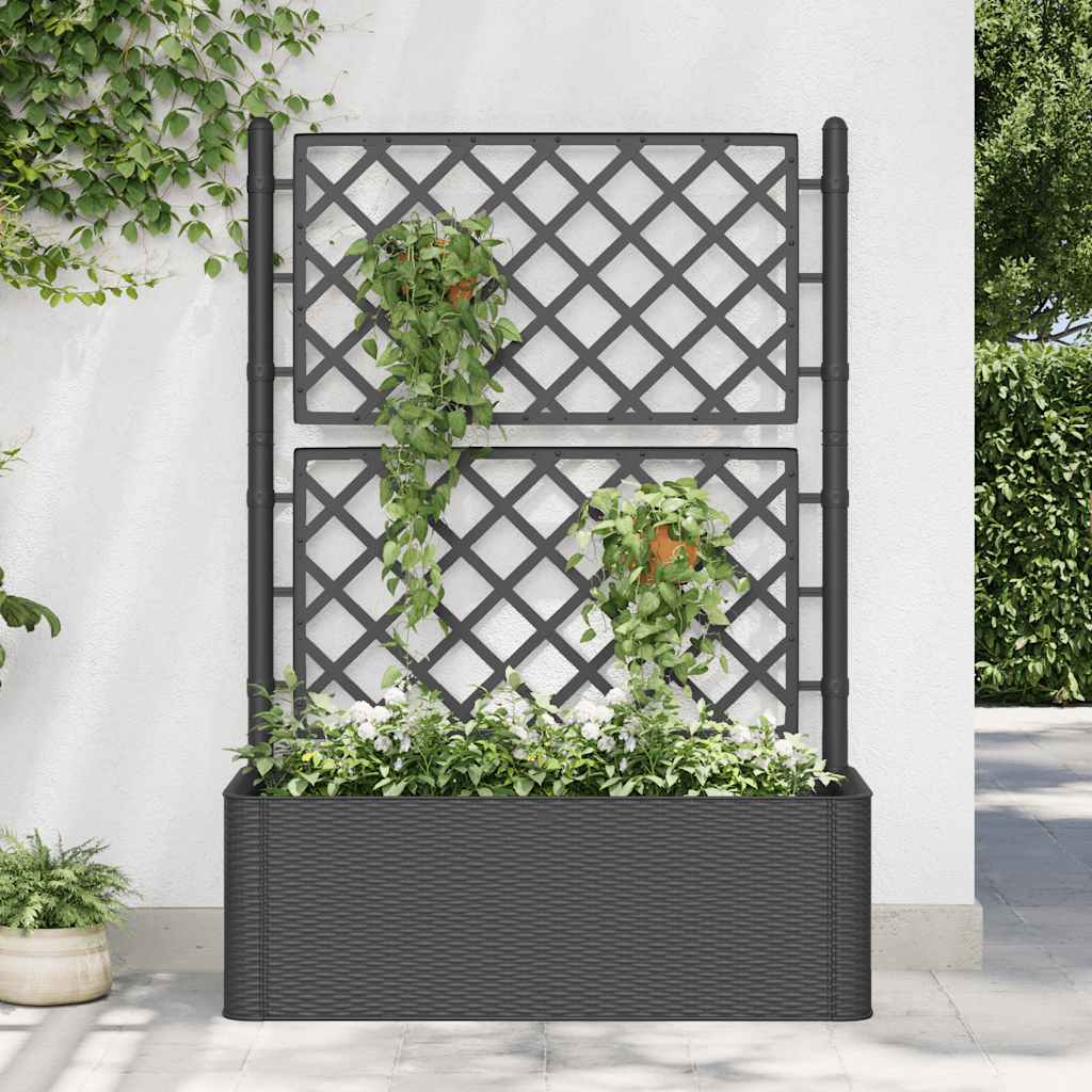 Høybed med espalier og selvvanningssystem antrasitt