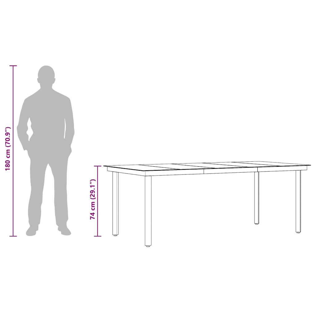 Hagebord svart 200x100x74 cm stål og glass