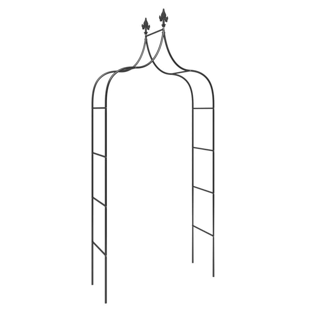 Hagebuer 2 stk svart 120x38x260 cm stål