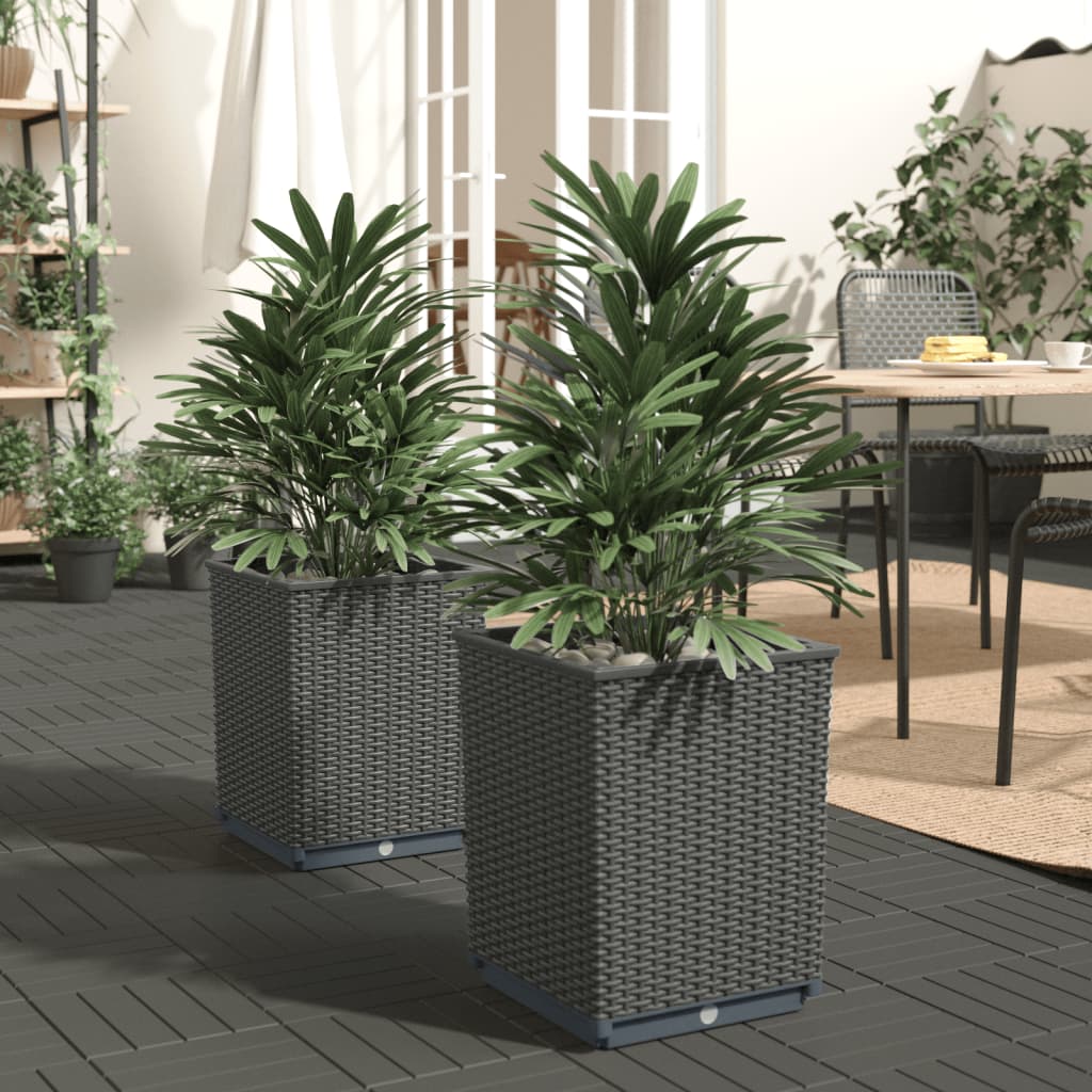Plantekasser 2 stk svart 30x30x37 cm polypropylen