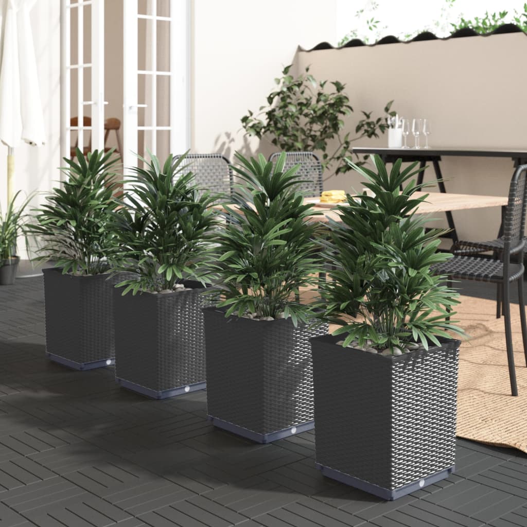 Plantekasser 4 stk svart 30x30x37 cm polypropylen