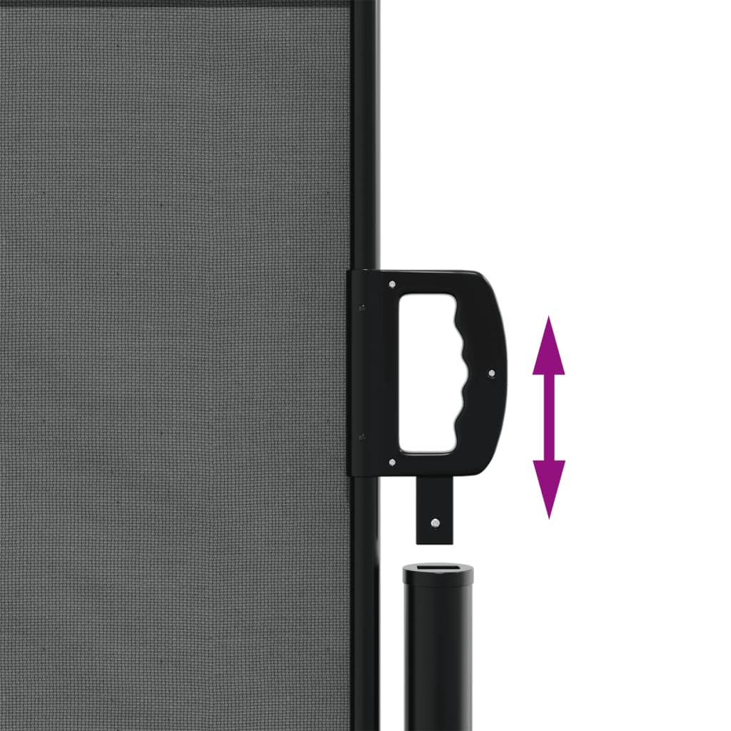 Uttrekkbar sidemarkise antrasitt 120x300 cm