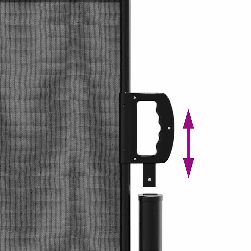 Uttrekkbar sidemarkise antrasitt 120x500 cm