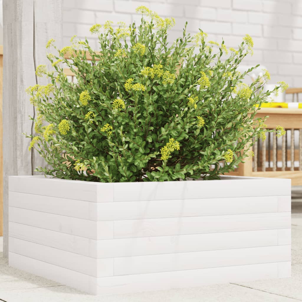 Hageplantekasse hvit 50x50x23 cm heltre furu