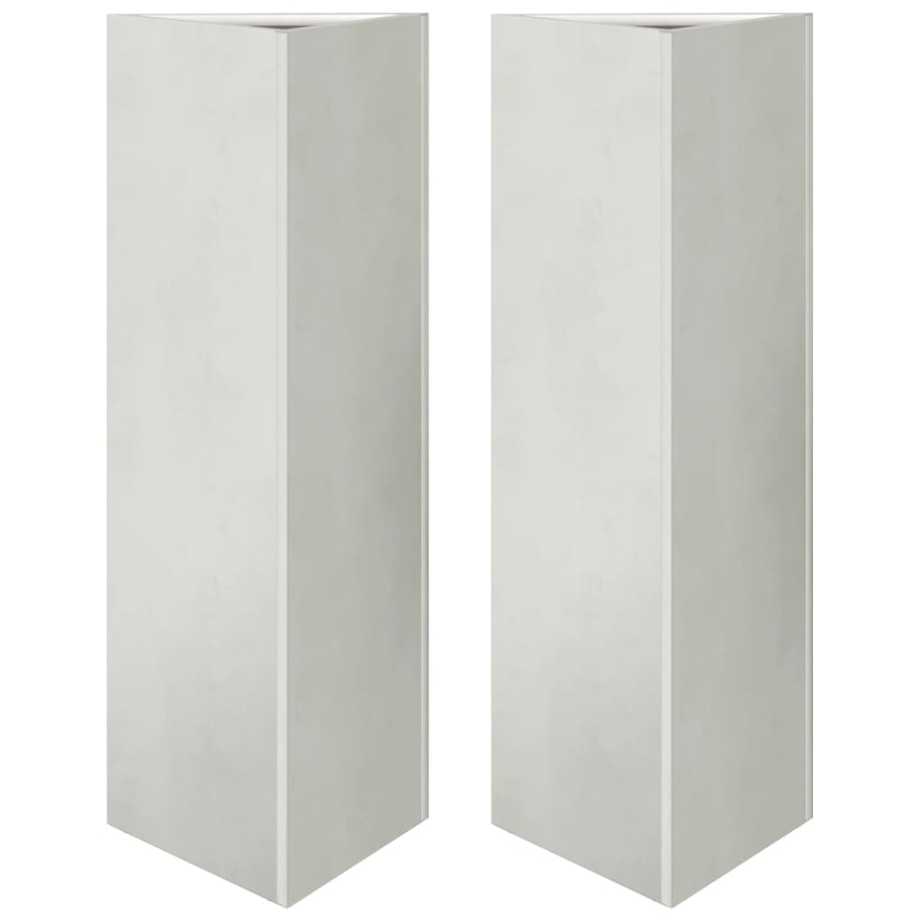Plantekasser 2 stk 30x26x75 cm rustfritt stål
