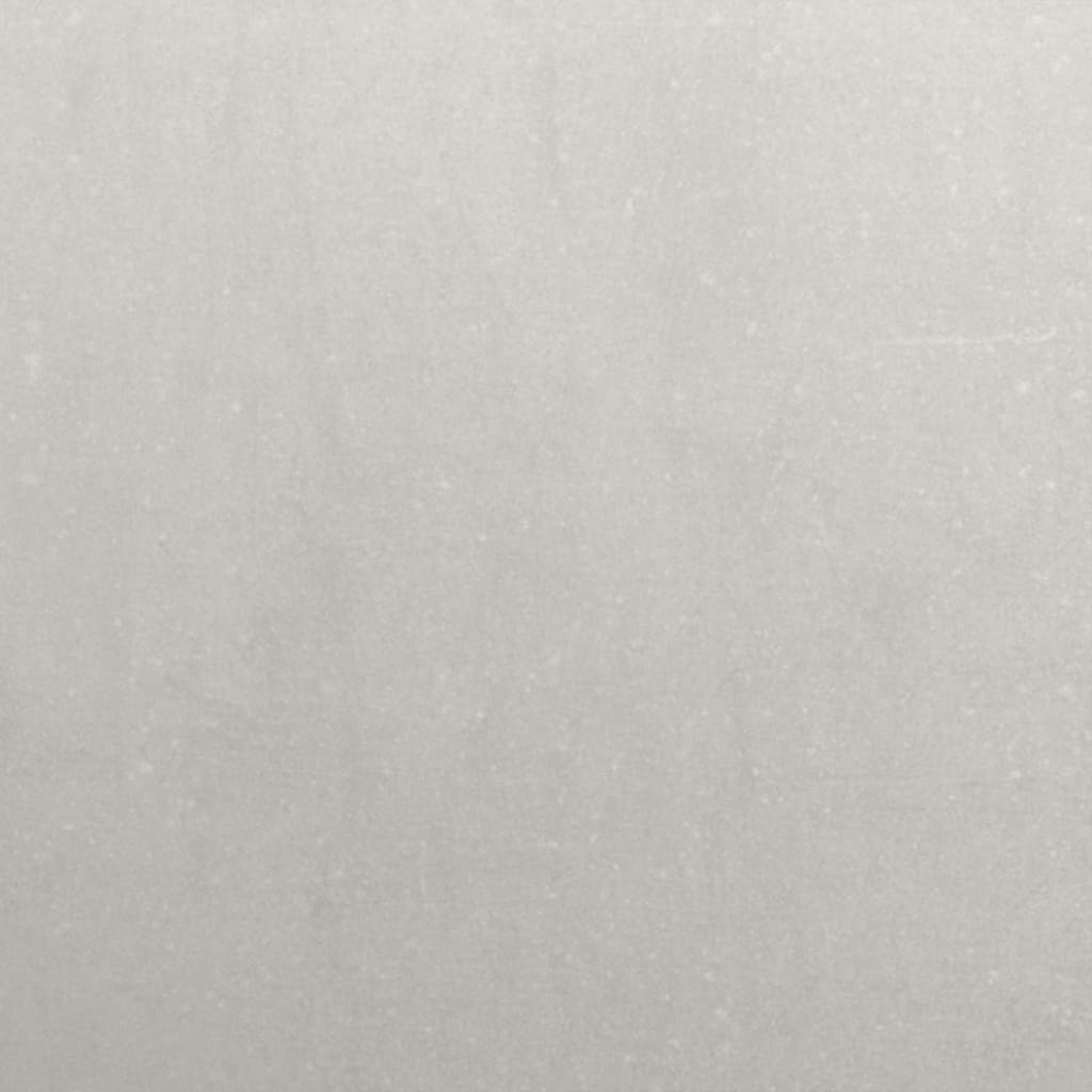 Plantekasser 2 stk 30x26x75 cm rustfritt stål