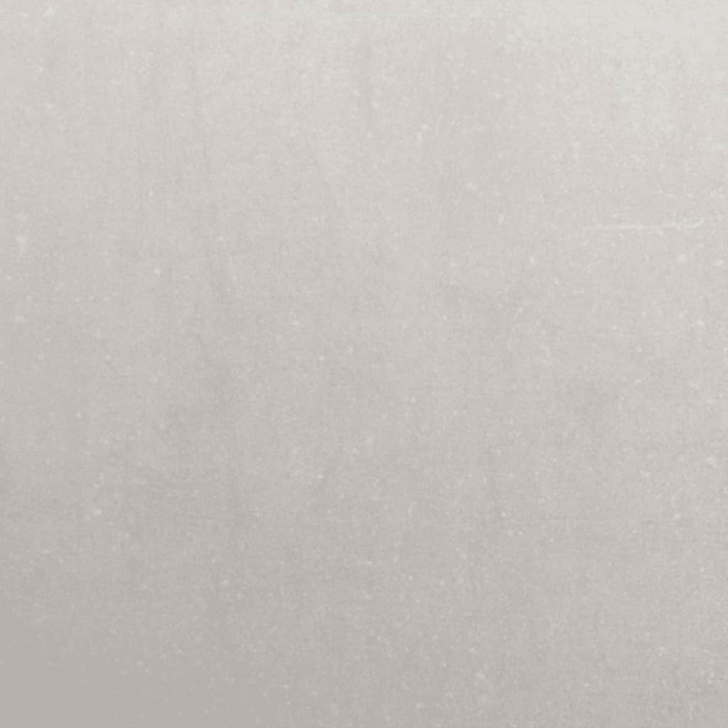 Plantekasser 2 stk trekantet 50x43x75 cm rustfritt stål