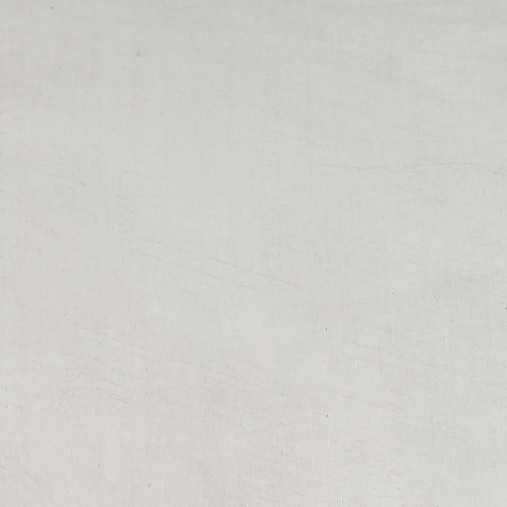 Hageblomsterpotte sølv 120 x 120 x 20 cm Rustfritt stål