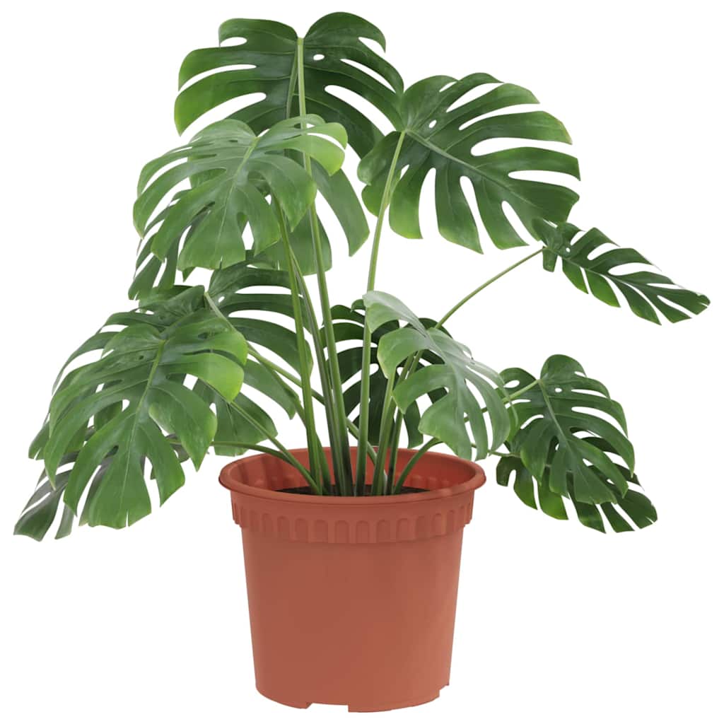 Rund Blomsterpotte 24 pcs Klinker Rød Ø 12,5 x 10 cm Plast