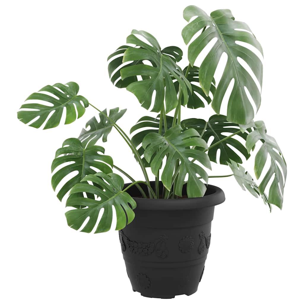 Rund Blomsterpotte 6 pcs Svart Ø 26 x 21.5 cm Plast