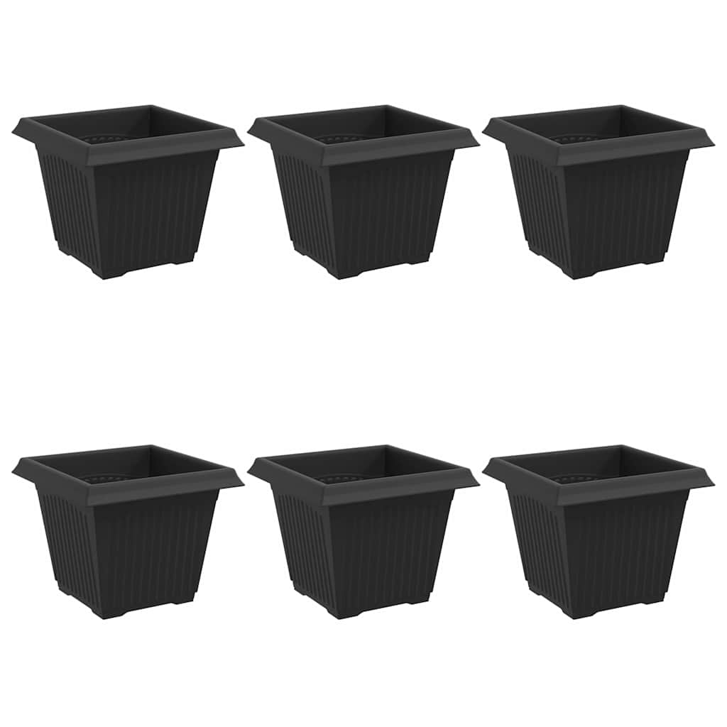 Firkantet Blomsterpotte 6 pcs Svart 43 x 43 x 33.5 cm Plast