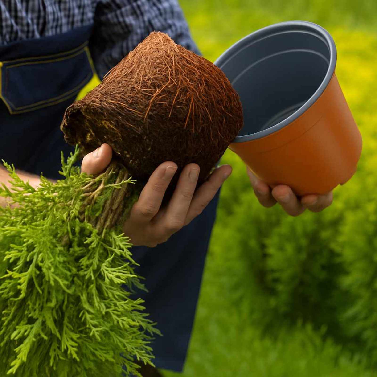 Blomsterpotte 200 pcs Keramikk Ø 15 x 12.5 cm Plast