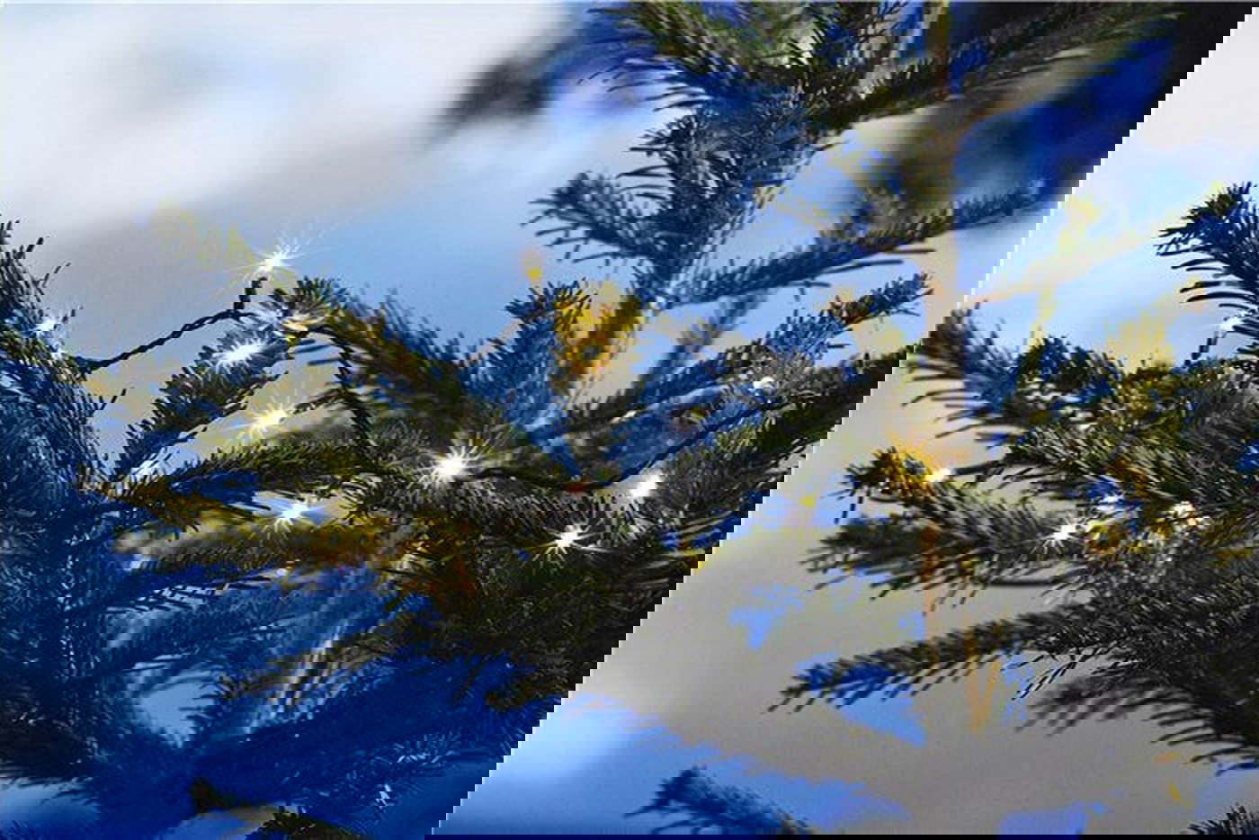 Lyslenke 120 Dioder M/Timer - - Hjem & Fritidsshoppen.no