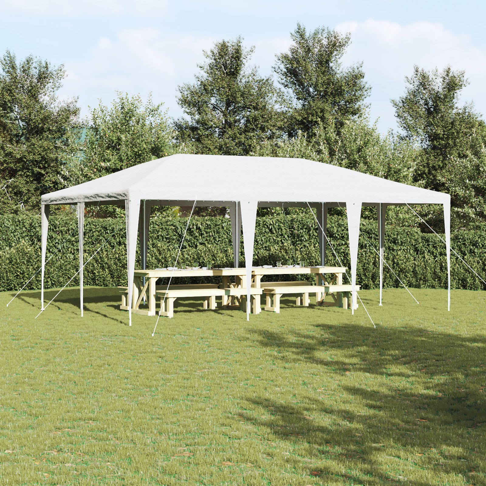Festtelt Hvit 6x4 m PE