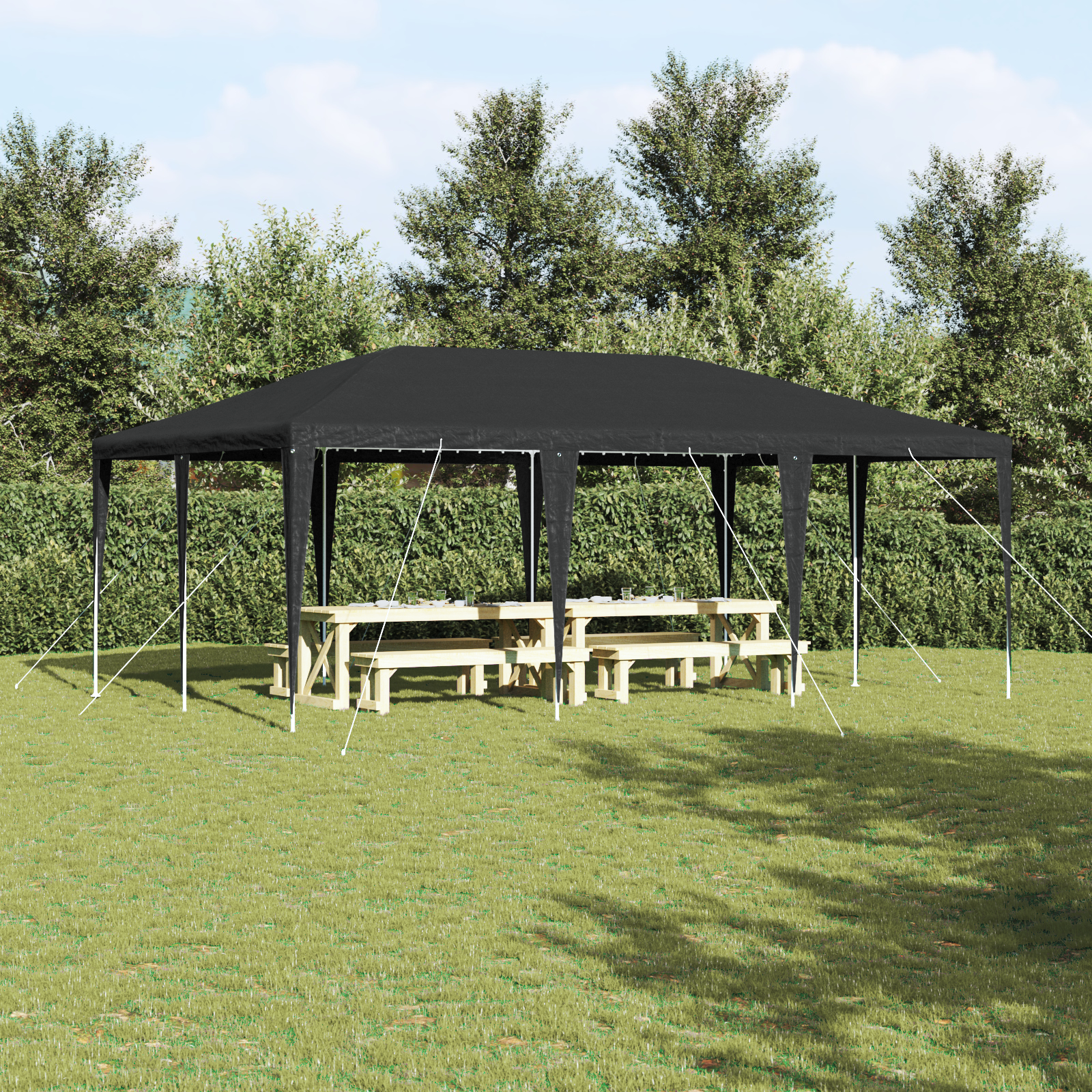 Partytelt Antrasitt 6x4 m PE
