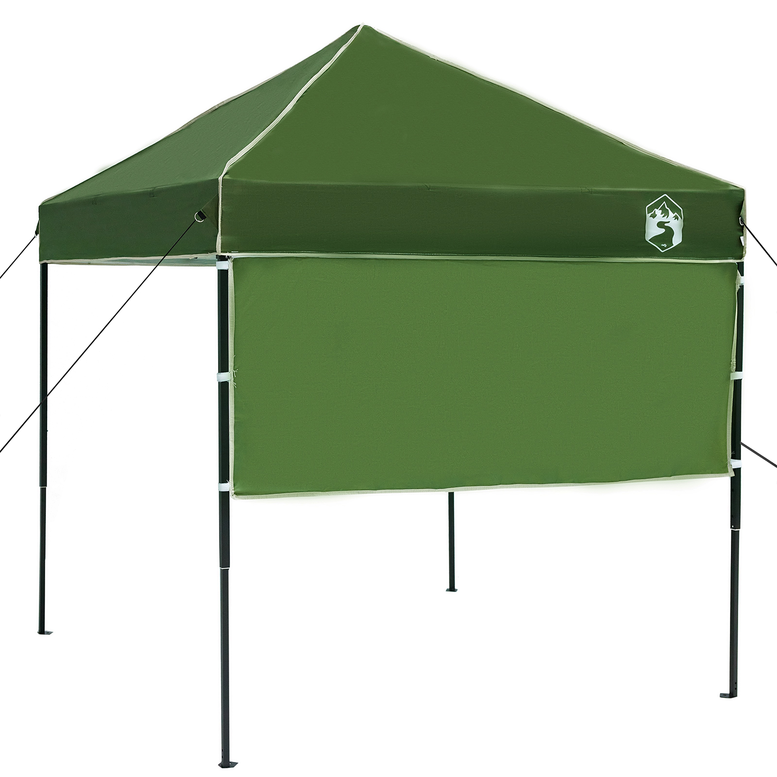 Canopy telt grønn 200 x 200 cm Oxford-stoff
