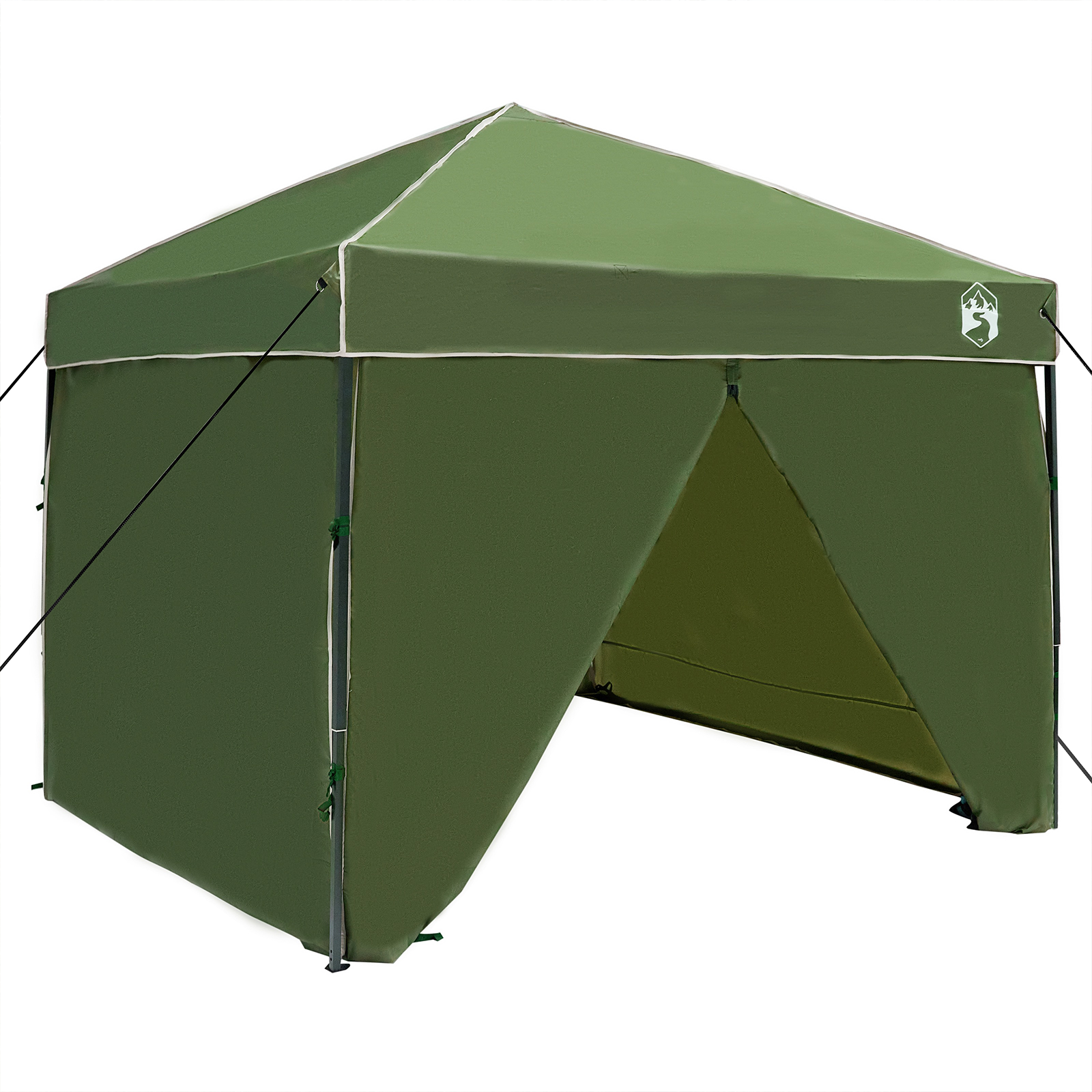 Canopy telt grønn 250 x 250 x 227 / 236 / 245 cm Oxford-stoff