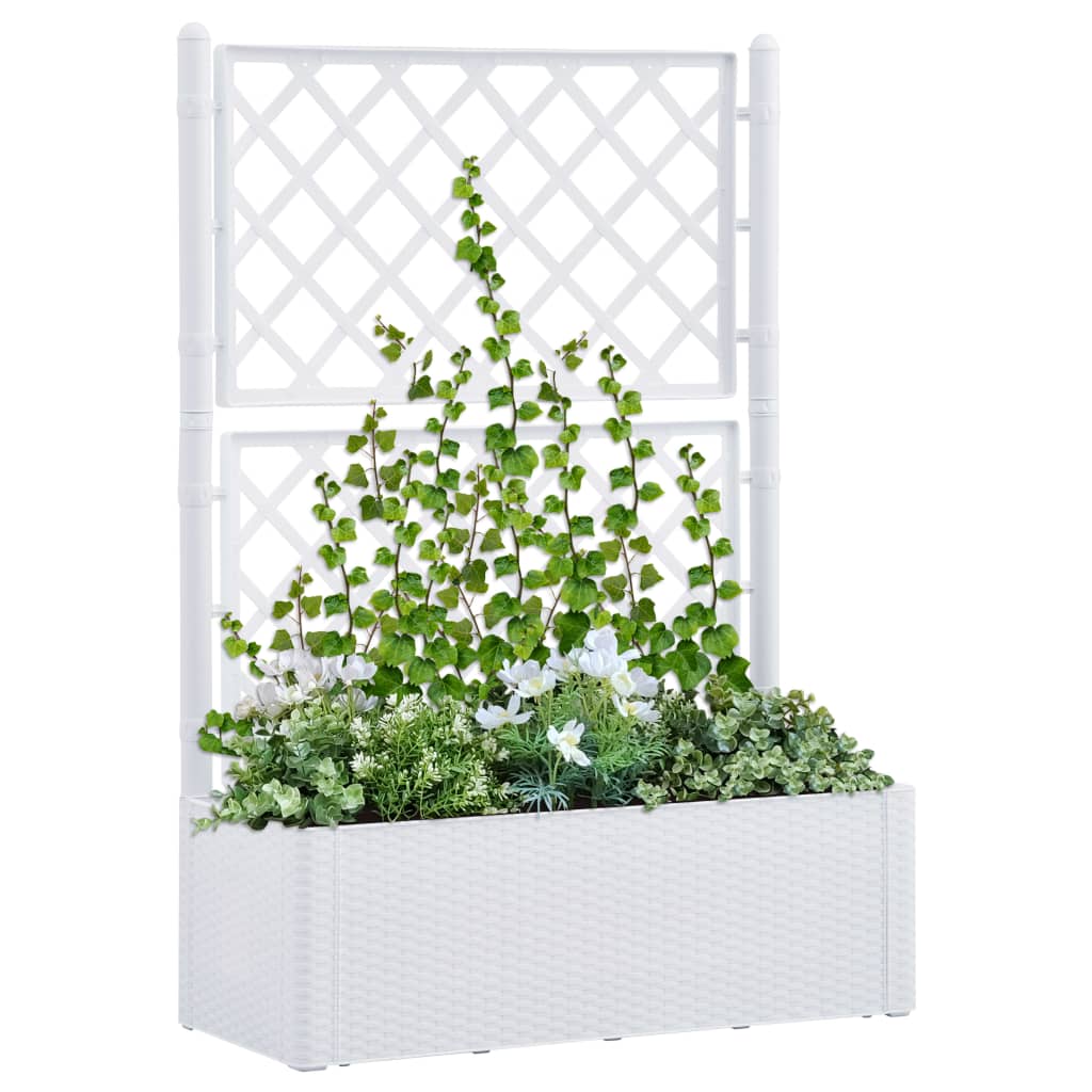 Høybed med espalier og selvvanningssystem hvit