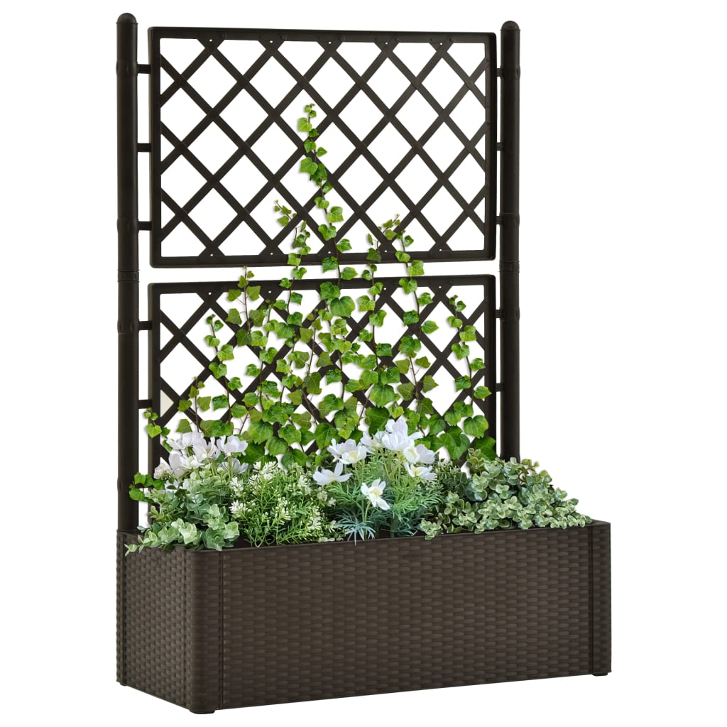 Høybed med espalier og selvvanningssystem mocca