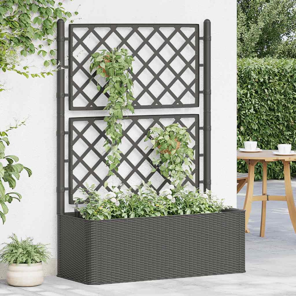 Høybed med espalier og selvvanningssystem antrasitt