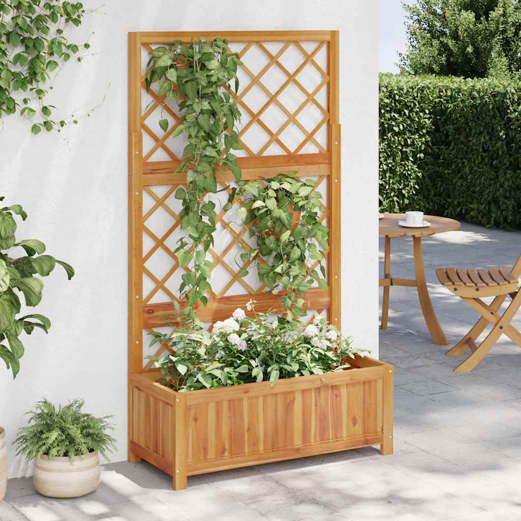 Høybed med espalier 85x38x150 cm heltre akasie