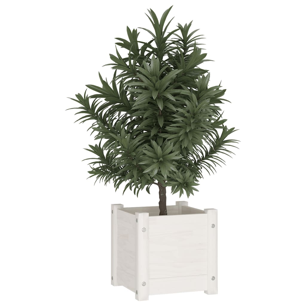 Plantekasse hvit 31x31x31 cm heltre furu