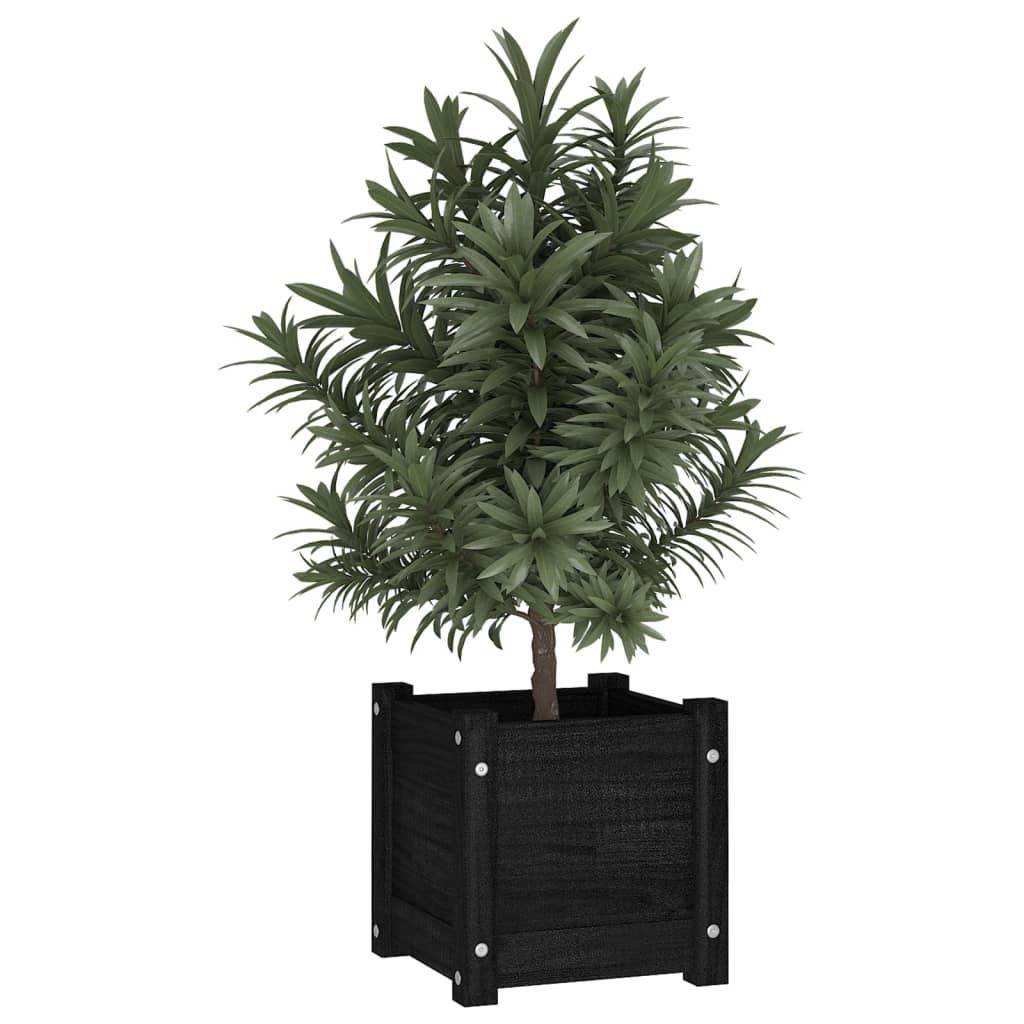 Plantekasse svart 31x31x31 cm heltre furu