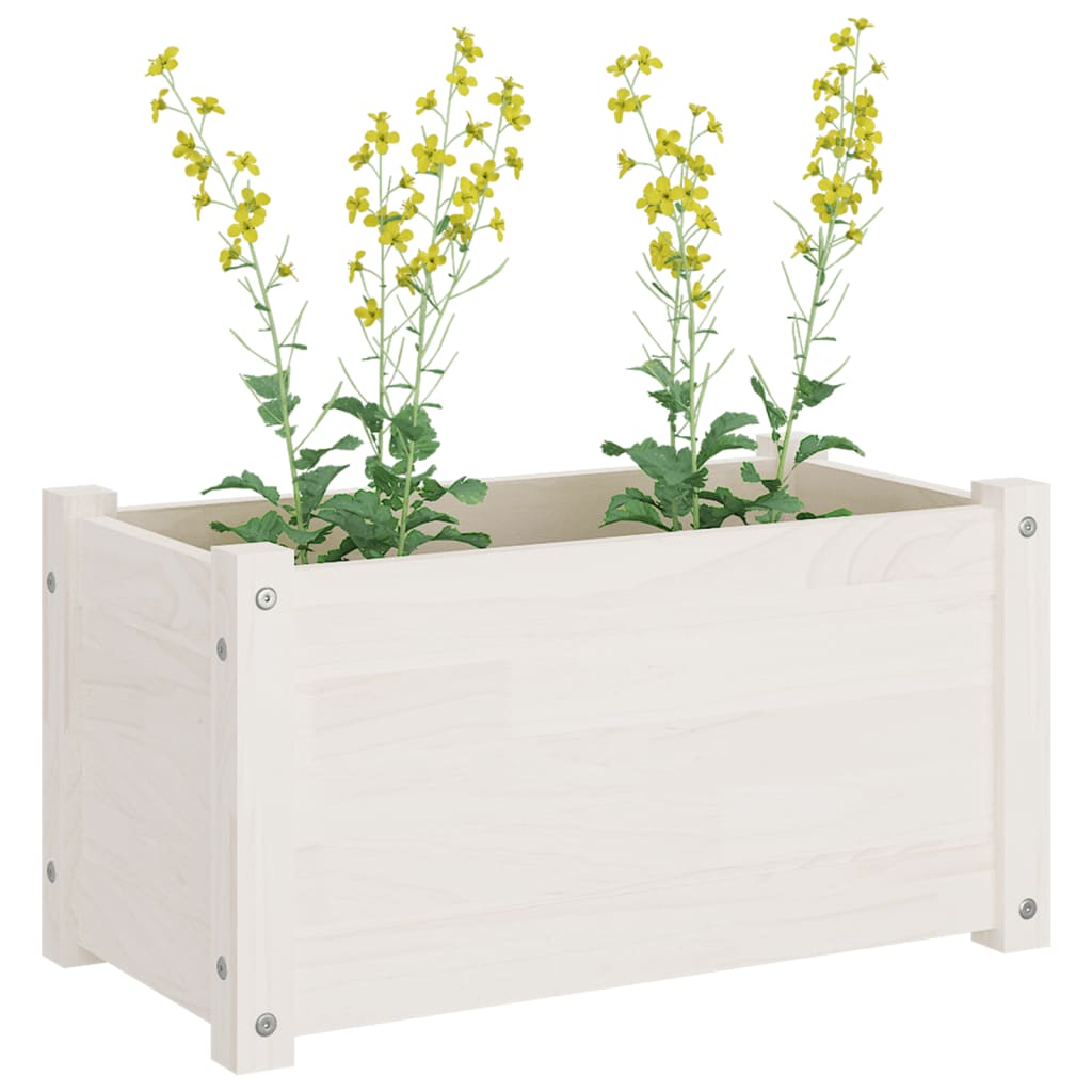 Plantekasser 2 stk hvit 60x31x31 cm heltre furu