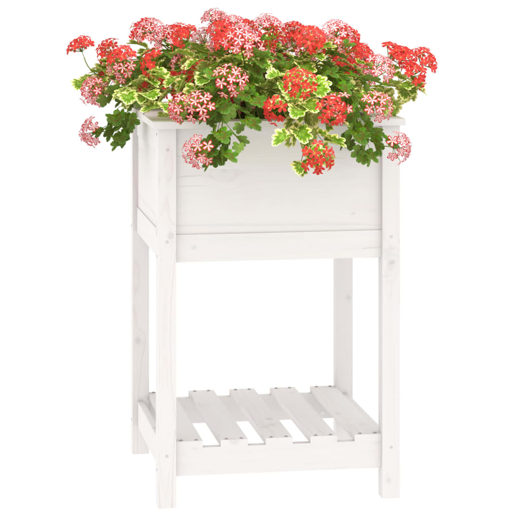 Plantekasse med hylle hvit 54x54x81 cm heltre furu