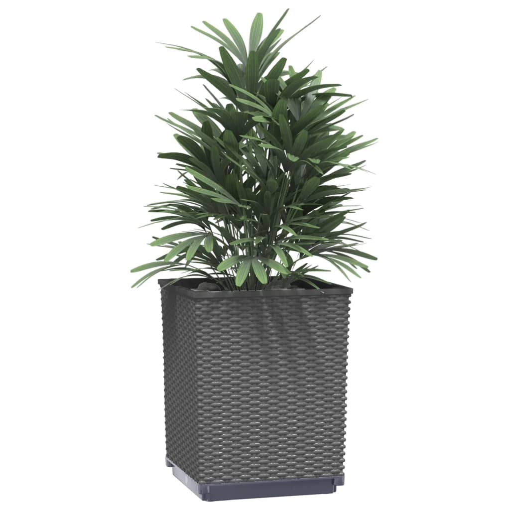 Plantekasser 2 stk svart 30x30x37 cm polypropylen