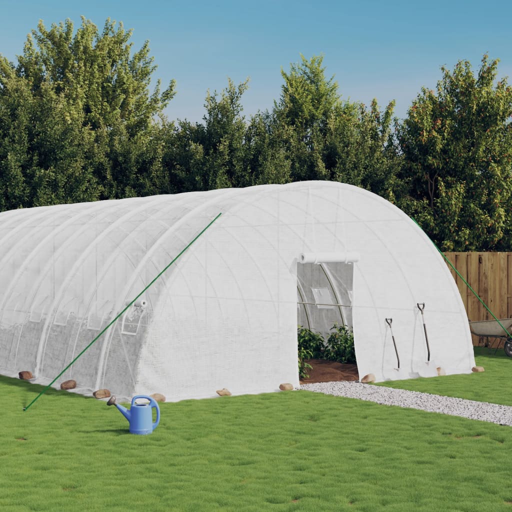 Drivhus med stålramme hvit 144 m² 24x6x2,85 m