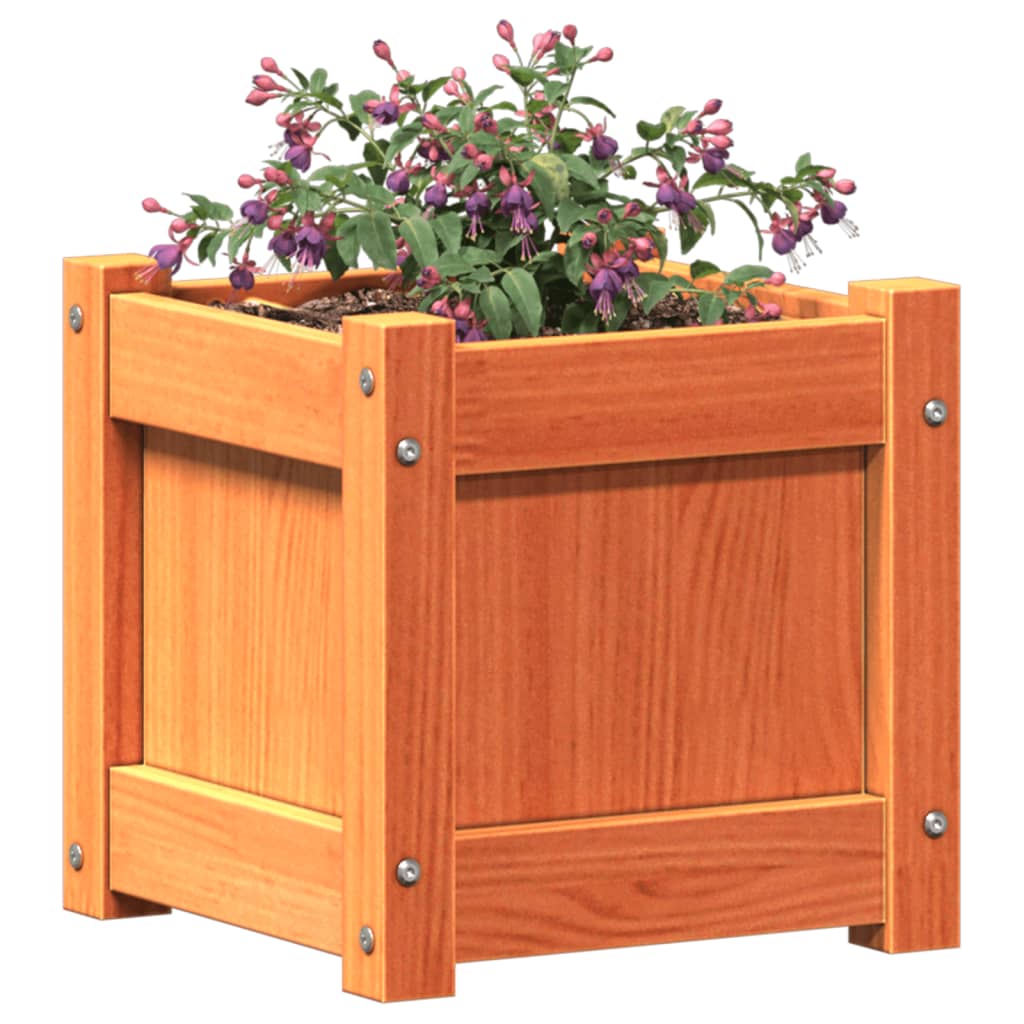 Hageplantekasse voksbrun 31x31x31 cm heltre furu