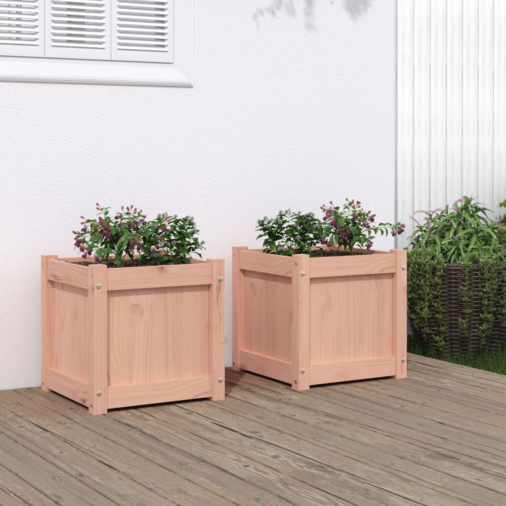 Hageplantekasse 2 stk heltre douglasgran