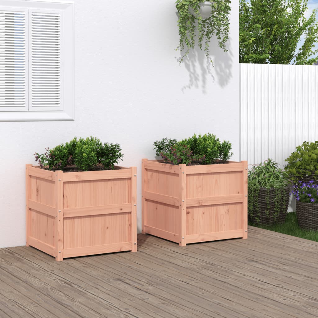 Hageplantekasse 2 stk heltre douglasgran