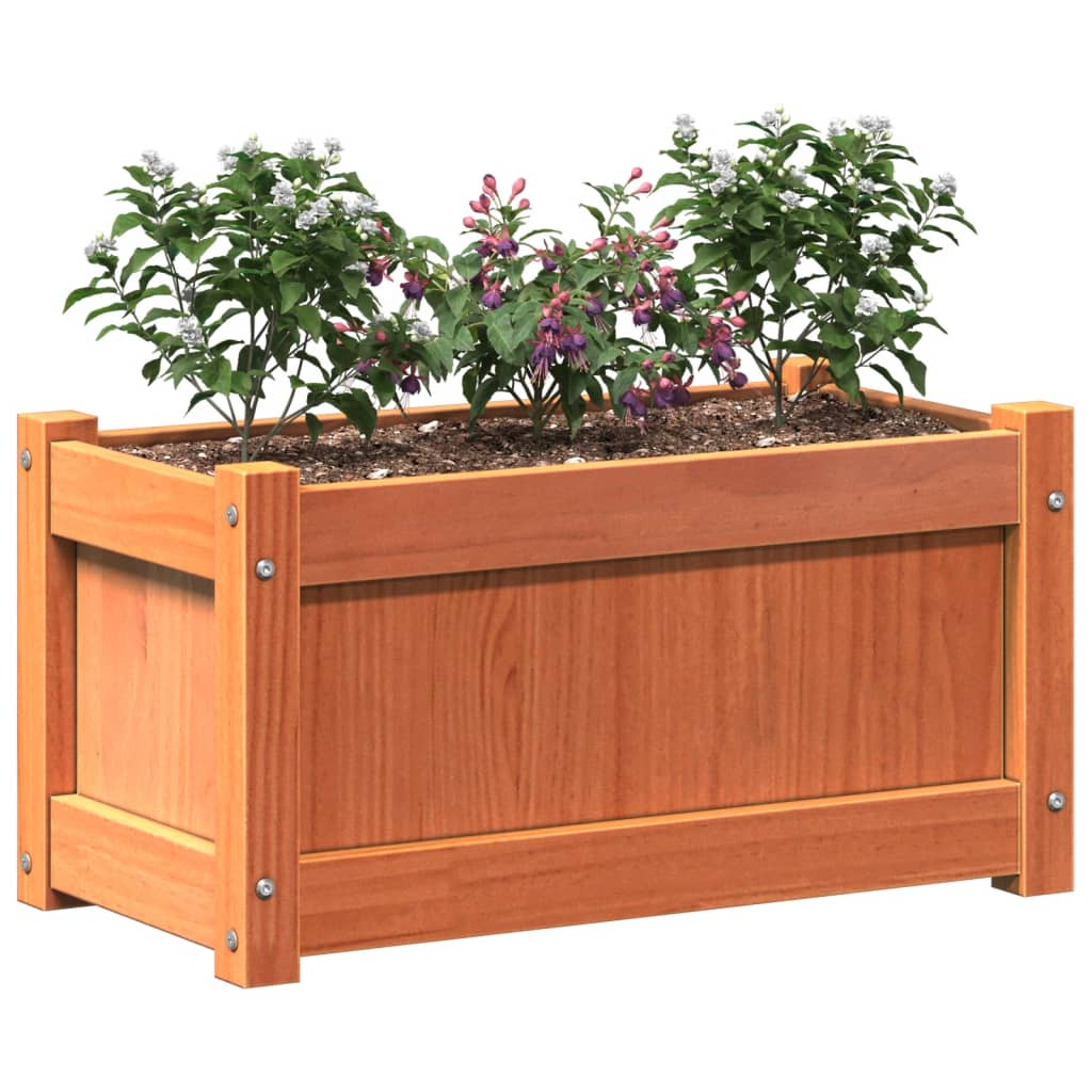Hageplantekasse voksbrun 60x31x31 cm heltre furu