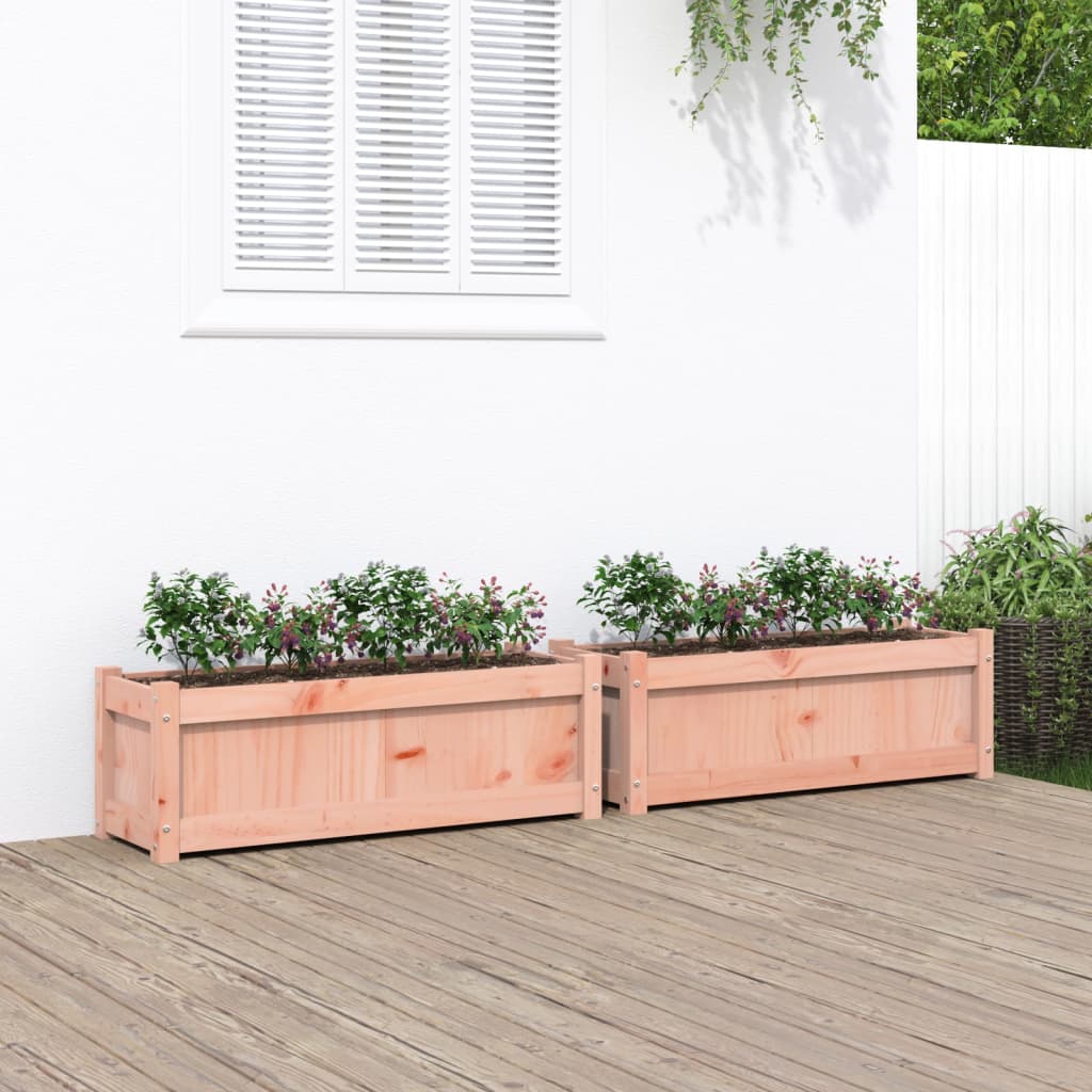 Hageplantekasse 2 stk heltre douglasgran