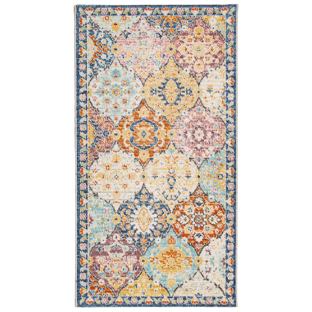 Teppe ARBIZU innendørs og utendørs vintage design 80x150 cm