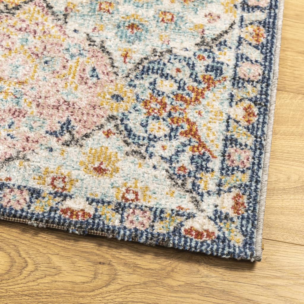Teppe ARBIZU innendørs og utendørs vintage design 80x150 cm