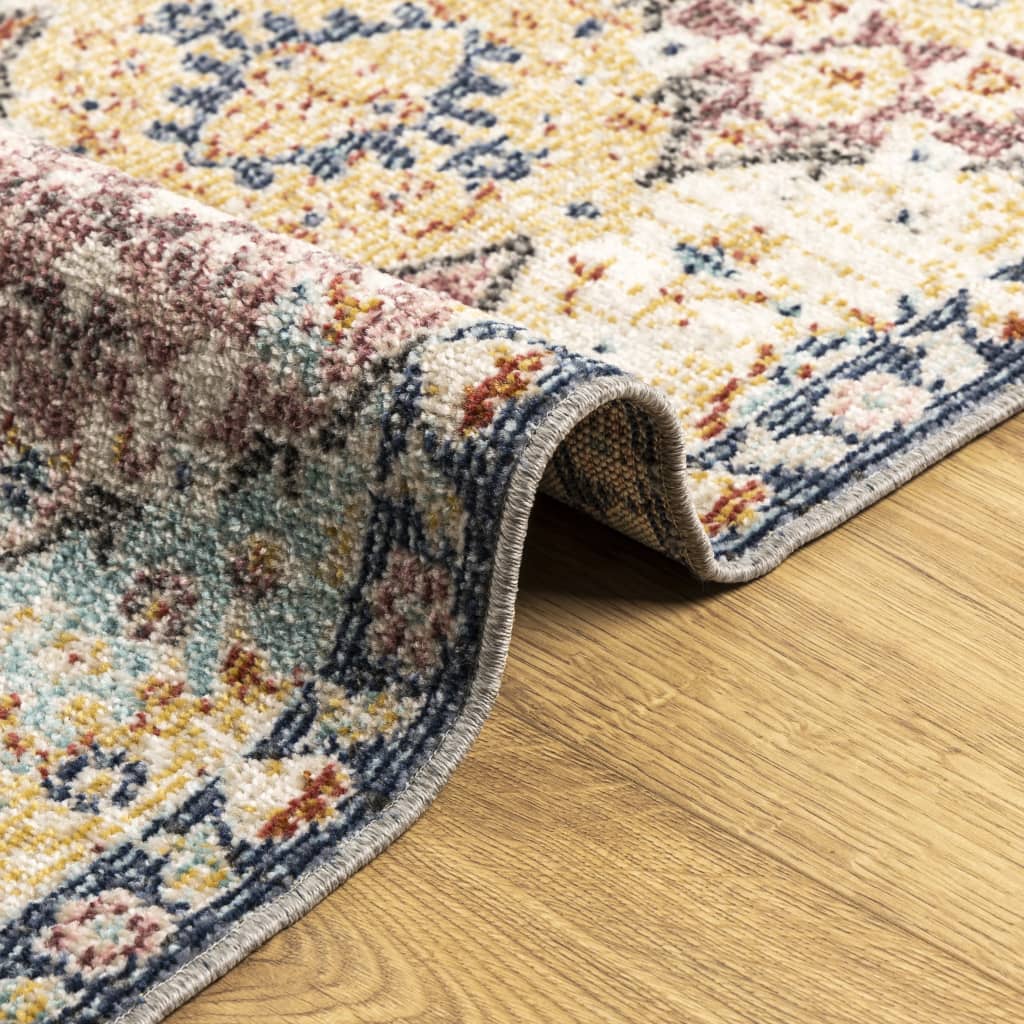 Teppe ARBIZU innendørs og utendørs vintage design 80x150 cm