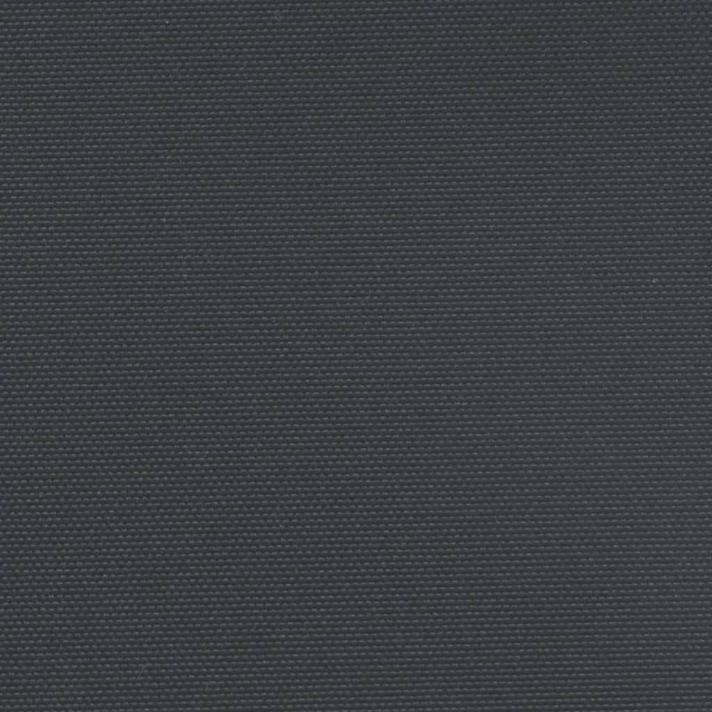 Uttrekkbar sidemarkise svart 140x300 cm