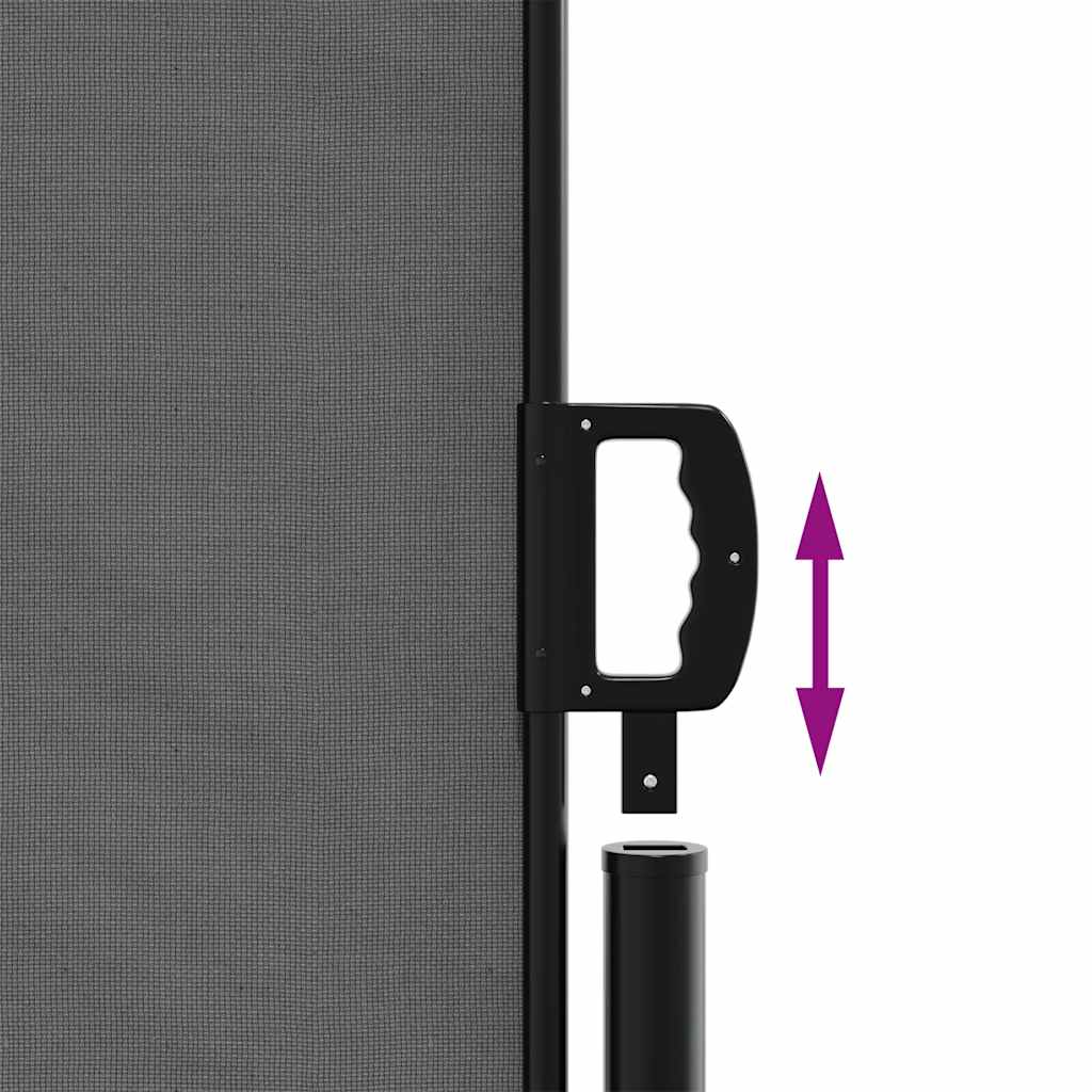 Uttrekkbar sidemarkise antrasitt 220x300 cm