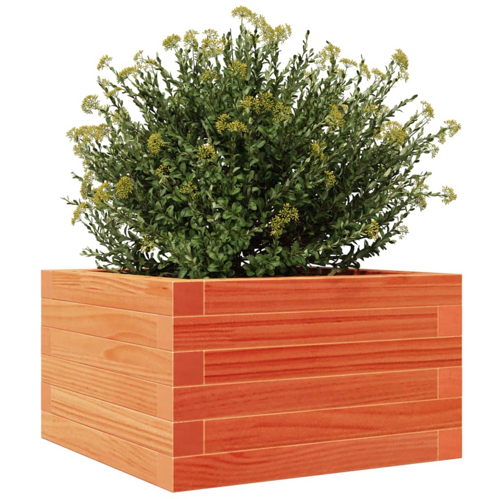 Hageplantekasse voksbrun 40x40x23 cm heltre furu