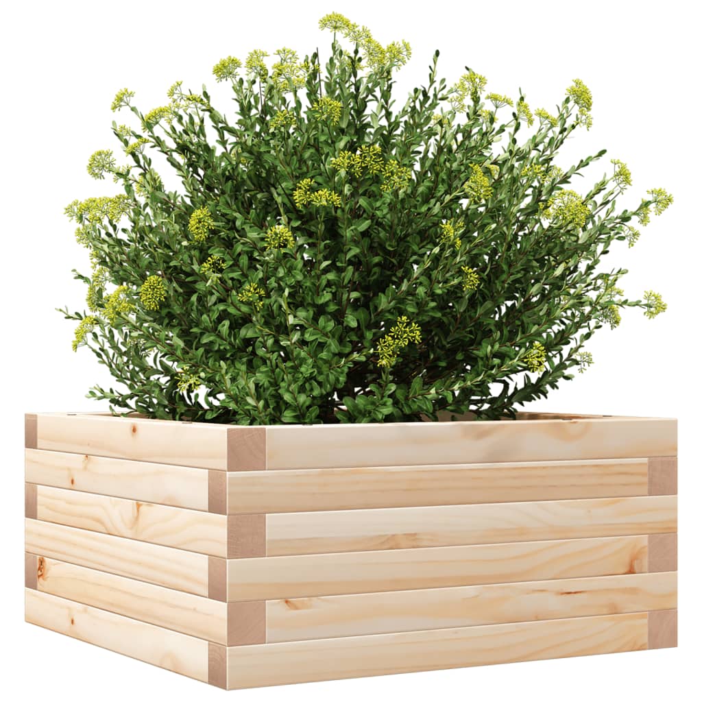 Hageplantekasse 50x50x23 cm heltre furu