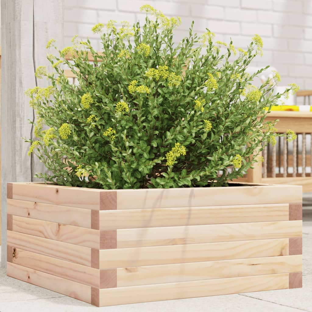 Hageplantekasse 50x50x23 cm heltre furu