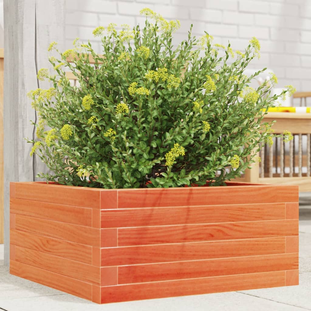 Hageplantekasse voksbrun 50x50x23 cm heltre furu