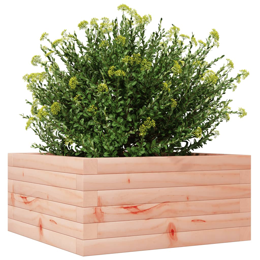 Hageplantekasse 50x50x23 cm heltre douglasgran