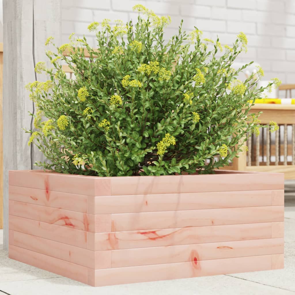 Hageplantekasse 50x50x23 cm heltre douglasgran