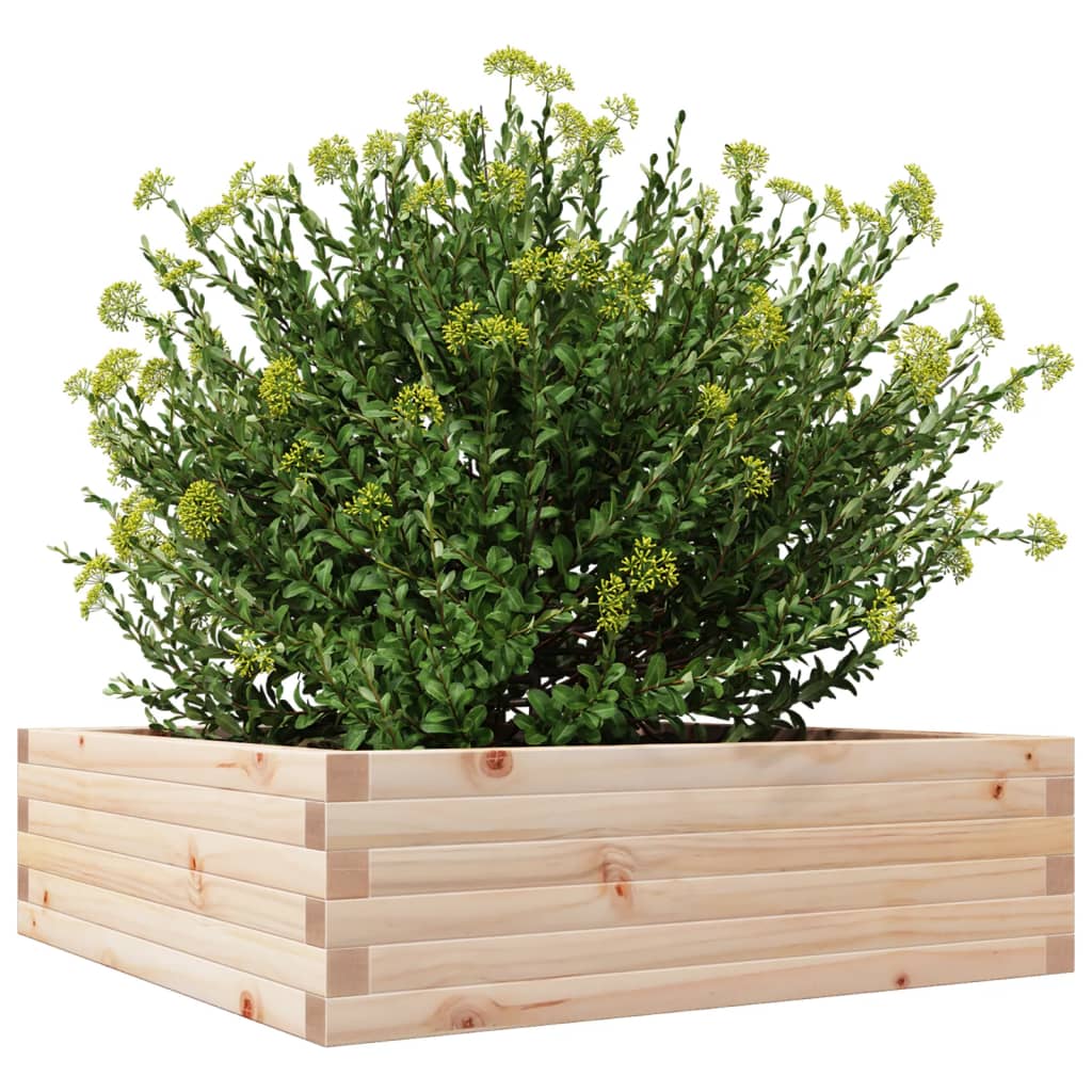 Hageplantekasse 80x80x23 cm heltre furu