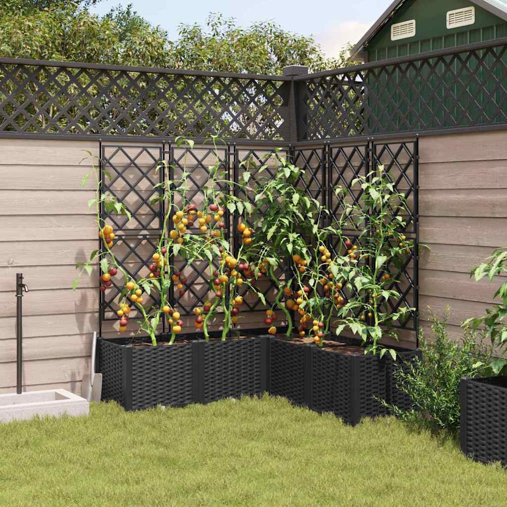 Hagepotte med klatrestativ 5 pcs Svart 120 x 120 x 143 cm PP