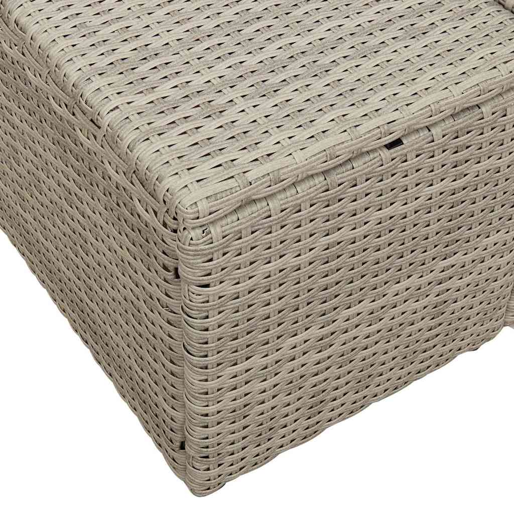 2-seters Hagesofa med Lagring & Puter Grå Polyrotting